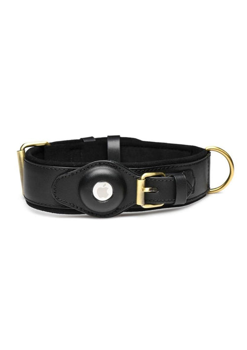 Master Series Tracer Tracking Collar - Its Cassidy Bybee – It's Cassidy ...